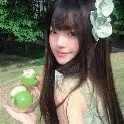 凤皇传